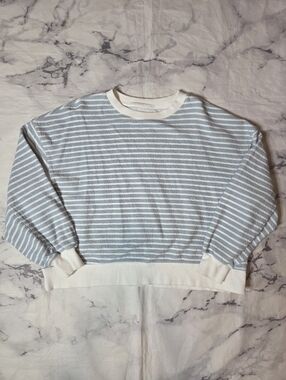 American Eagle Outfitters Light Blue and White Striped Crewneck Long Sleeve Top